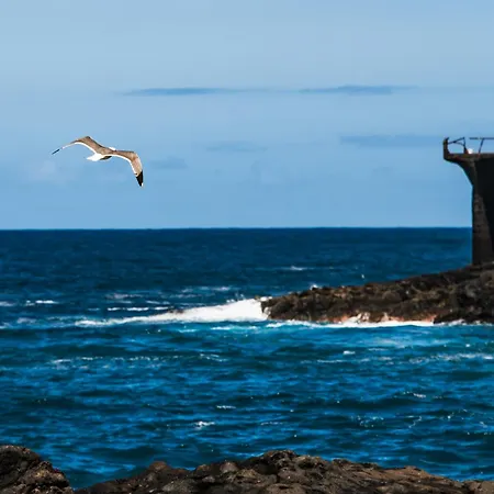 Sunny Vibes With Sea View Apartment Costa Adeje (Tenerife)