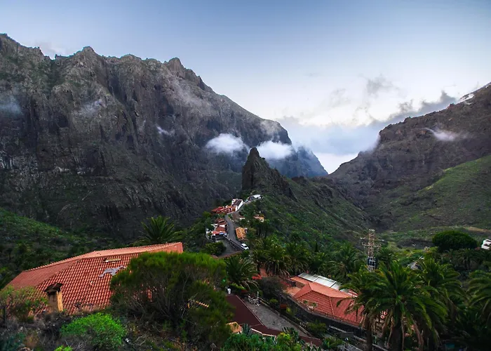 Sunny Vibes With Pool & Ocean Views Daire *