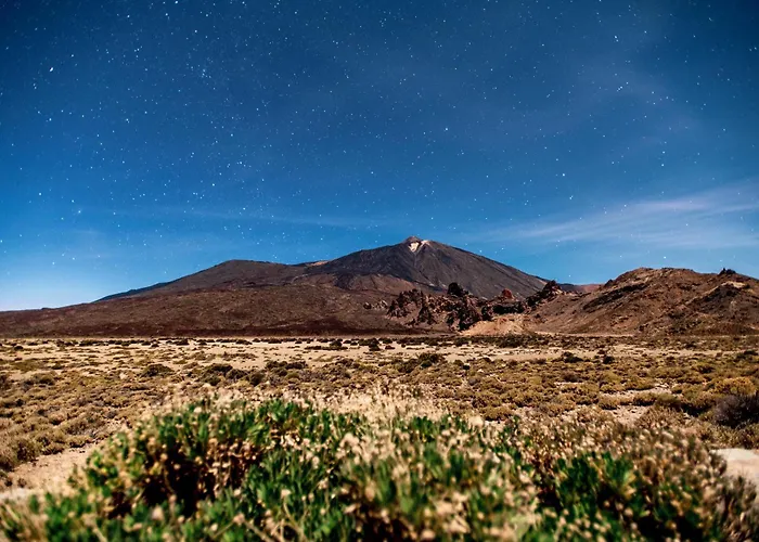 Daire Sunny Vibes With Pool & Ocean Views Costa Adeje
