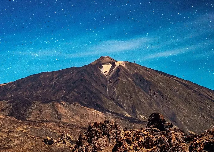 Daire Sunny Vibes With Pool & Ocean Views