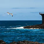 Sunny Vibes With Pool & Ocean Views Apartamento Costa Adeje (Tenerife)